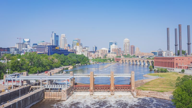 Ant Control Service in Minneapolis, MN