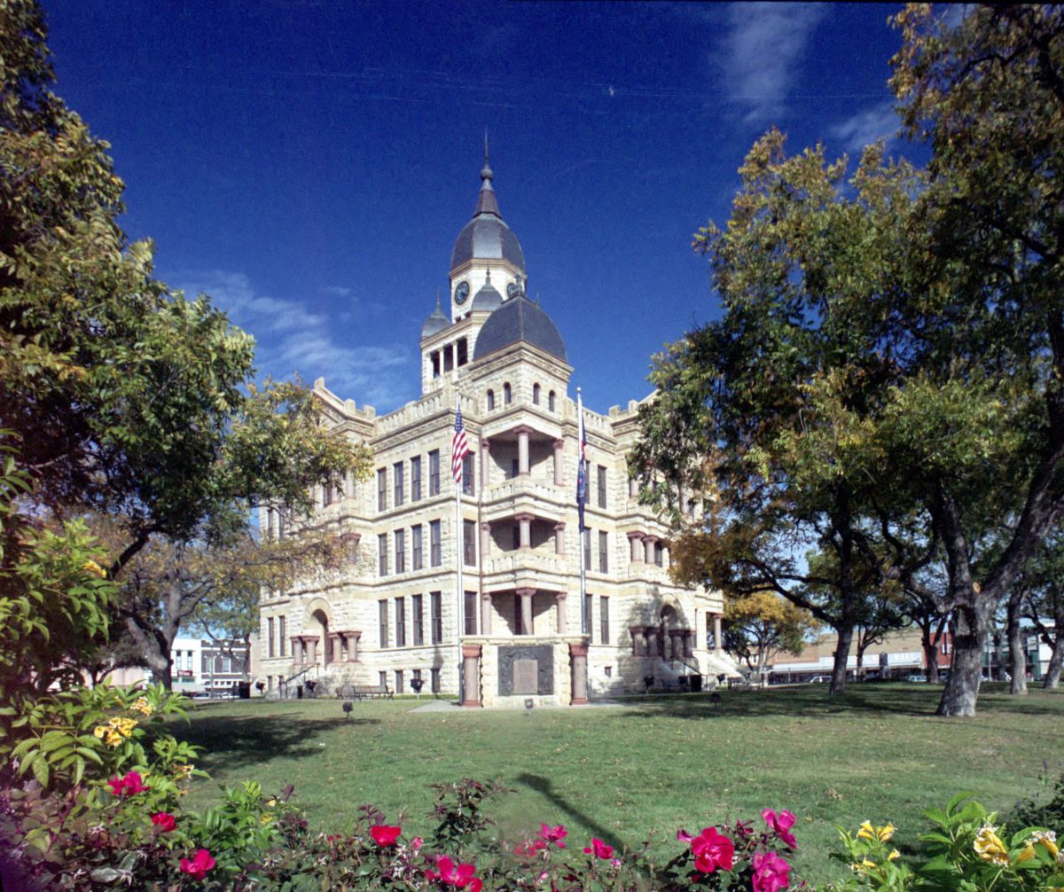 Ant Control Service in Denton, TX
