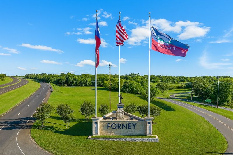 Ant Control Service in Forney, TX