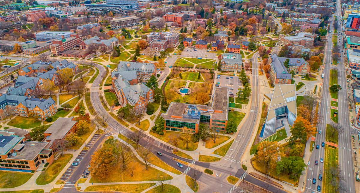 Ant Control Service in East Lansing, MI
