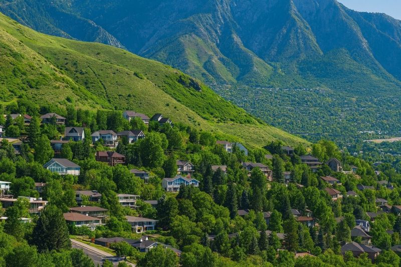 Ant Control Service in Farmington, UT