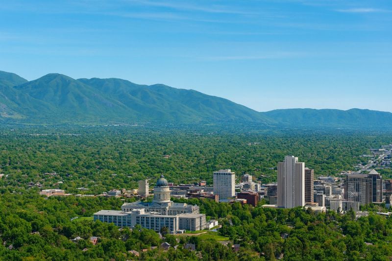 Ant Control Service in Midvale, UT