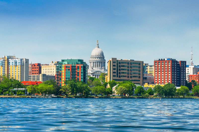 Ant Control Service in Madison, WI