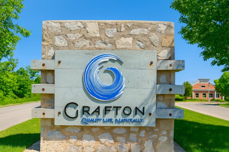 Ant Control Service in Grafton, WI