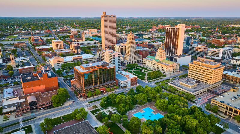 Ant Control Service in Fort Wayne, IN