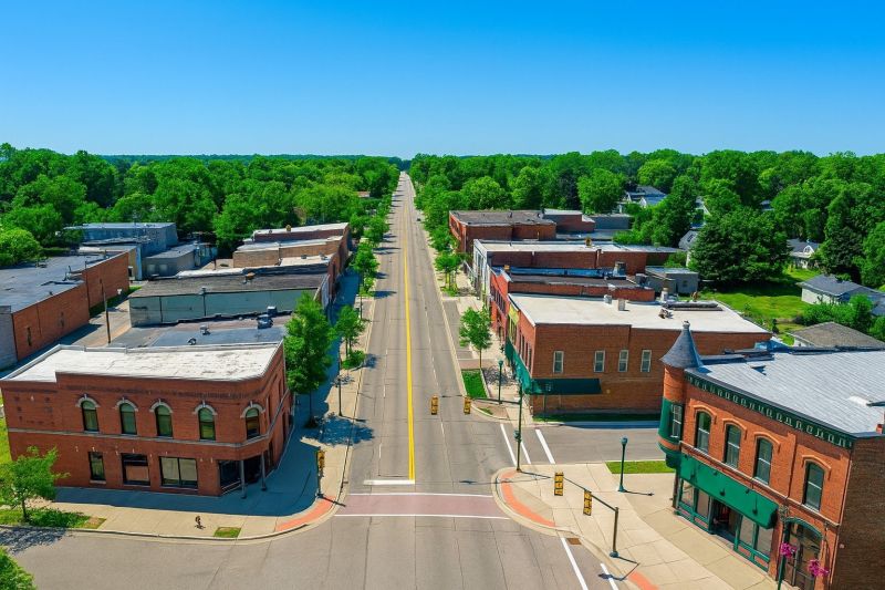 Ant Control Service in Oxford, MI