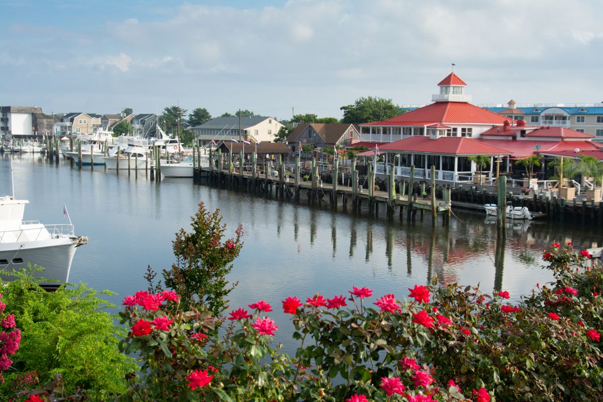 Ant Control Service in Lewes, DE