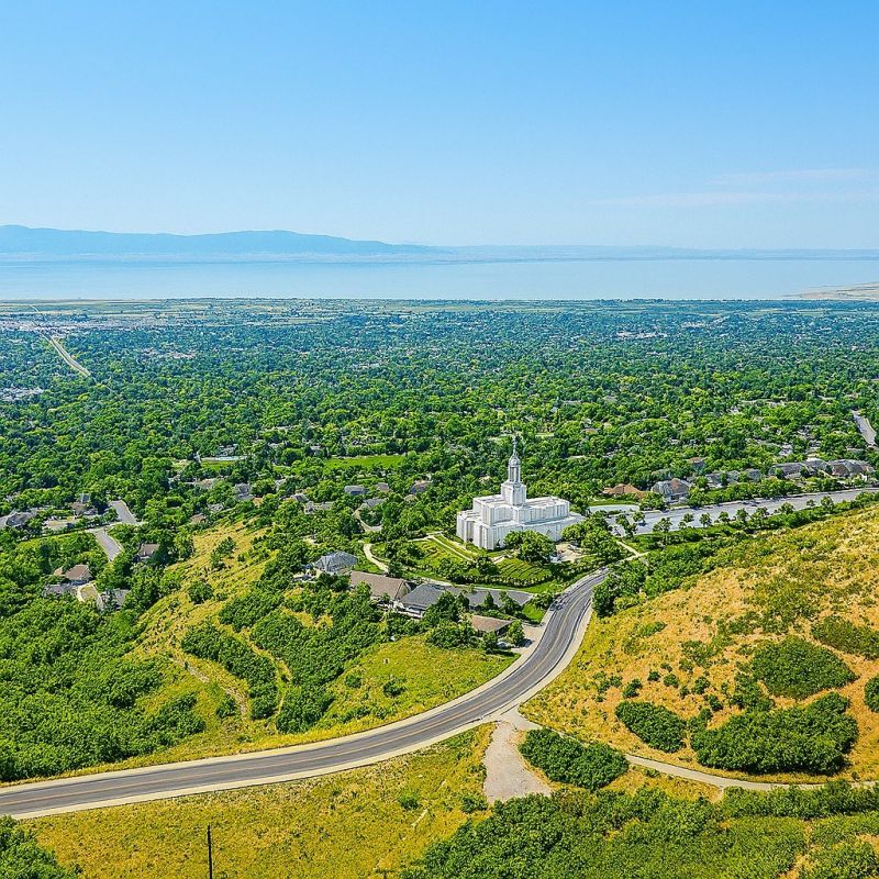 Ant Control Service in Bountiful, UT