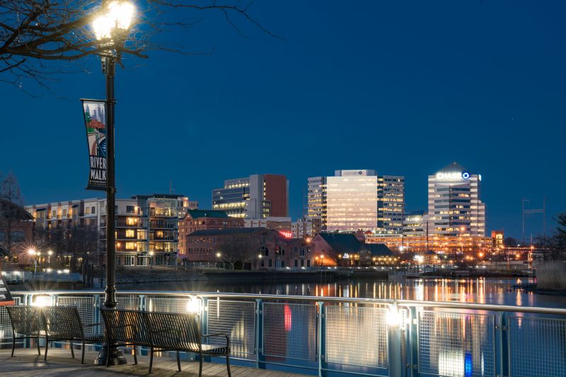 Ant Control Service in Wilmington, DE
