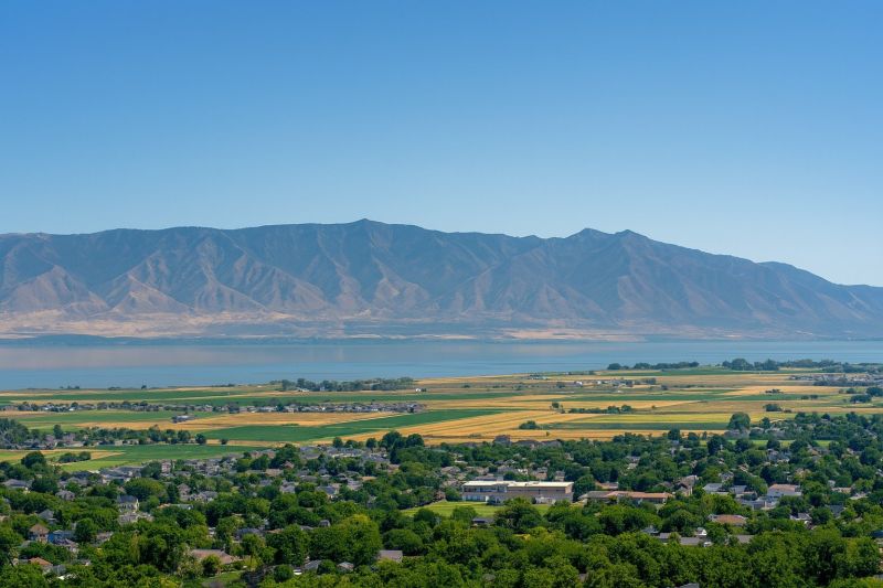 Ant Control Service in Pleasant Grove, UT