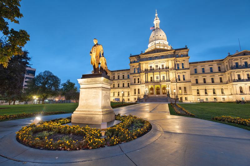 Ant Control Service in Lansing, MI