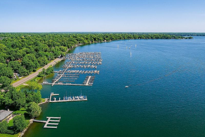 Ant Control Service in Minnetonka, MN