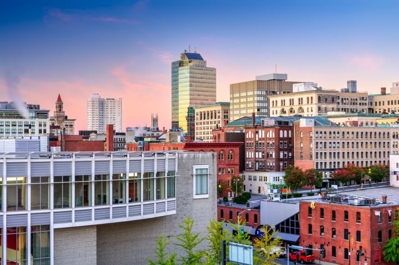 Ant Control Service in Worcester, MA