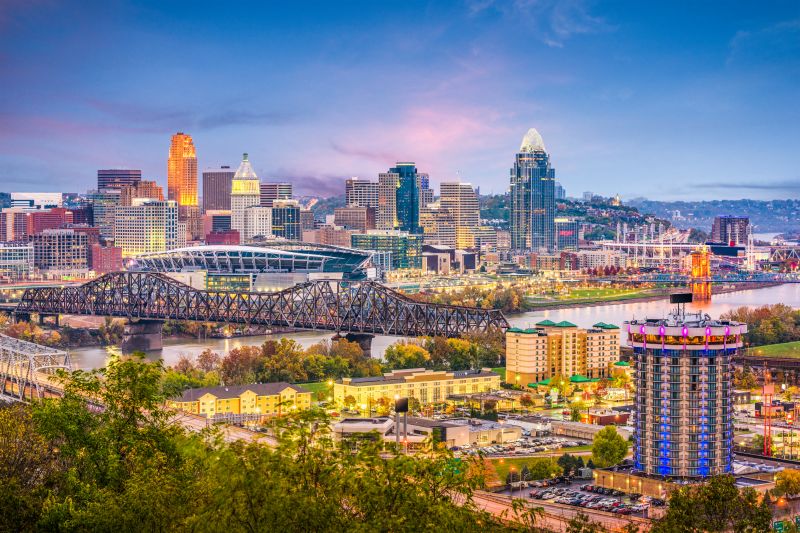 Ant Control Service in Cincinnati, OH