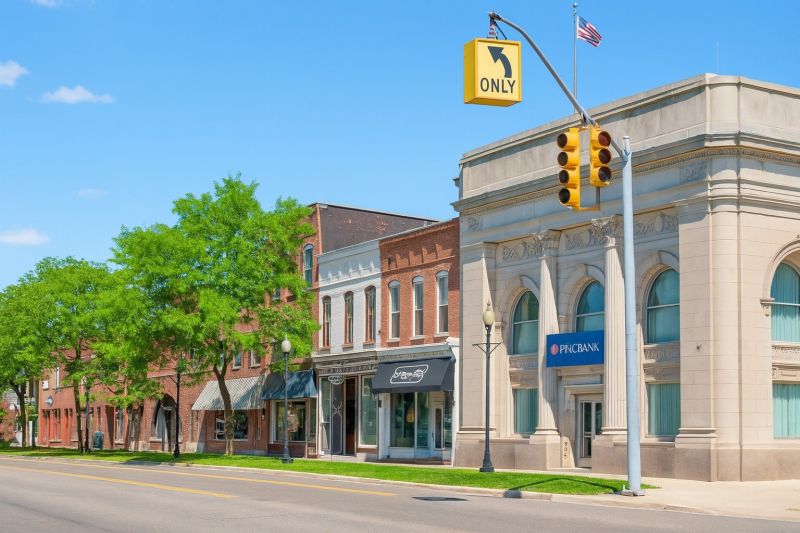 Ant Control Service in Macomb, MI