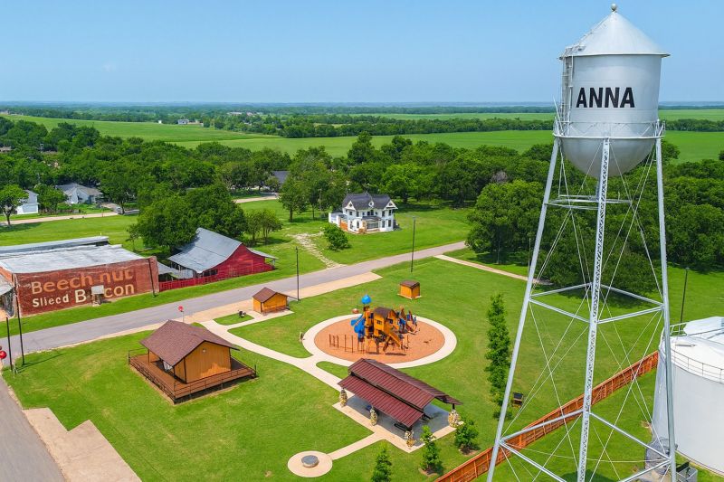 Ant Control Service in Anna, TX