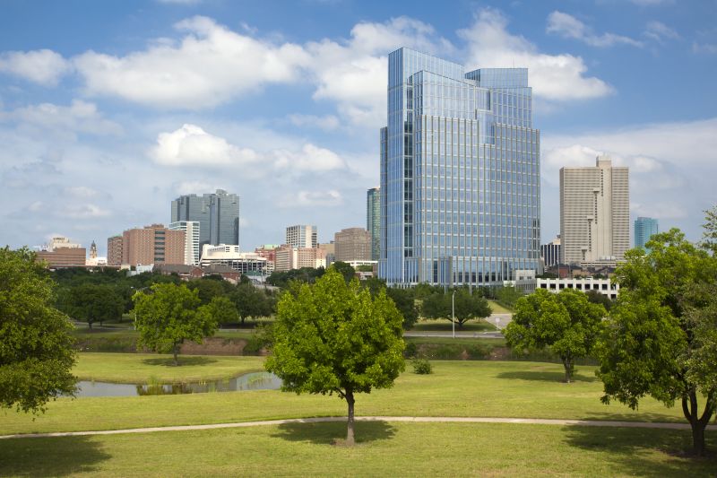 Ant Control Service in Fort Worth, TX