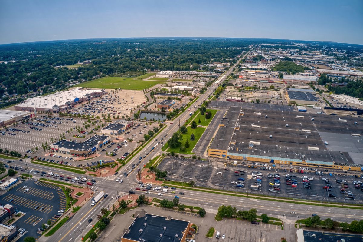 Ant Control Service in Livonia, MI
