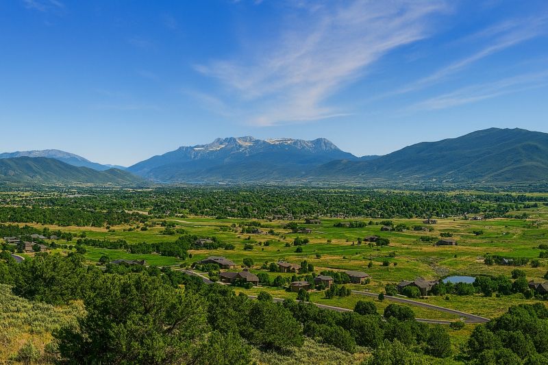 Ant Control Service in Heber City, UT