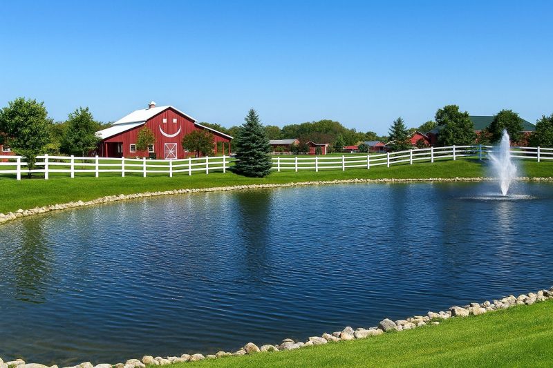 Ant Control Service in Colgate, WI