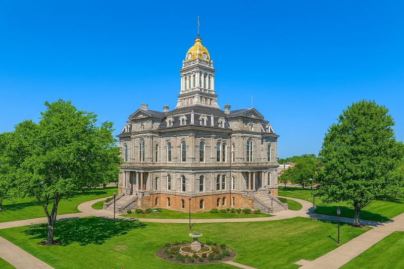Ant Control Service in Newark, OH