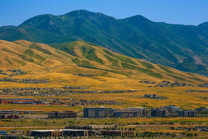 Ant Control Service in Lehi, UT