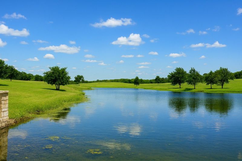 Ant Control Service in Kemp, TX