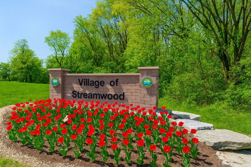 Ant Control Service in Streamwood, IL