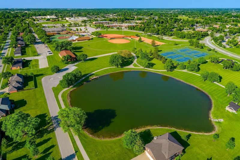 Ant Control Service in Ankeny, IA