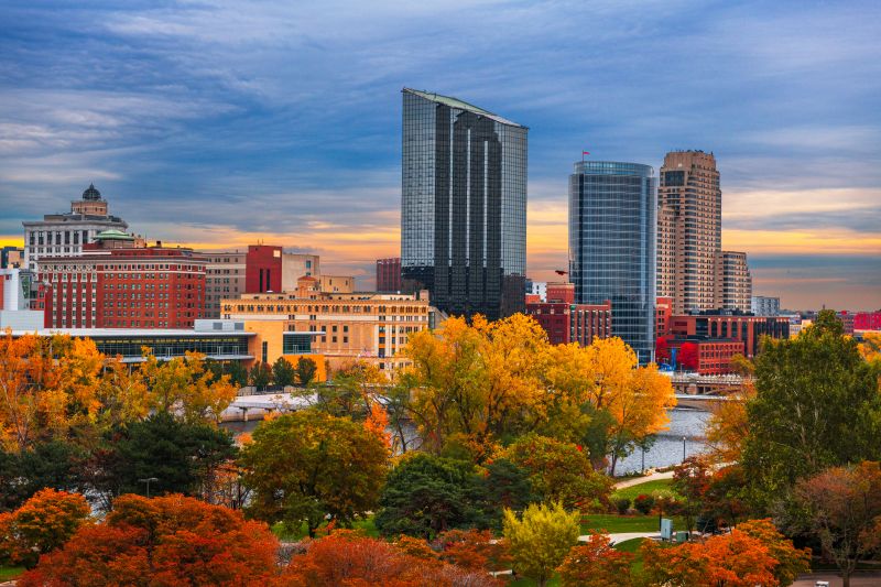 Ant Control Service in Grand Rapids, MI