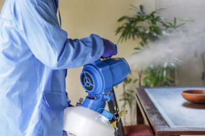 Commercial Fumigation in Franklin, TN