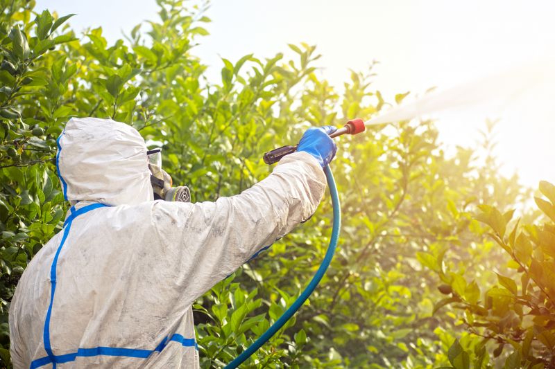 Fumigation Service in Madison, WI