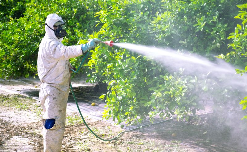 Residential Fumigation in Toledo, OH