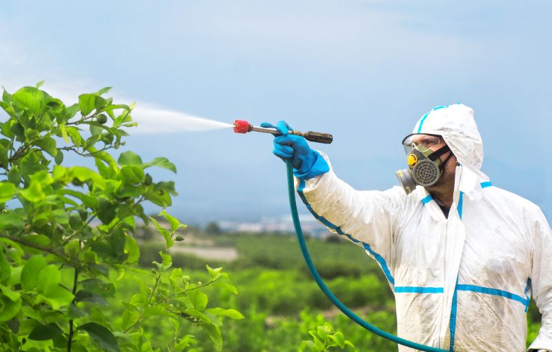 Fumigation Service in Marietta, GA