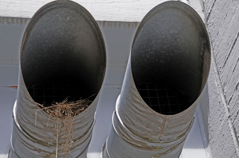 Swallow Nest Removal detail