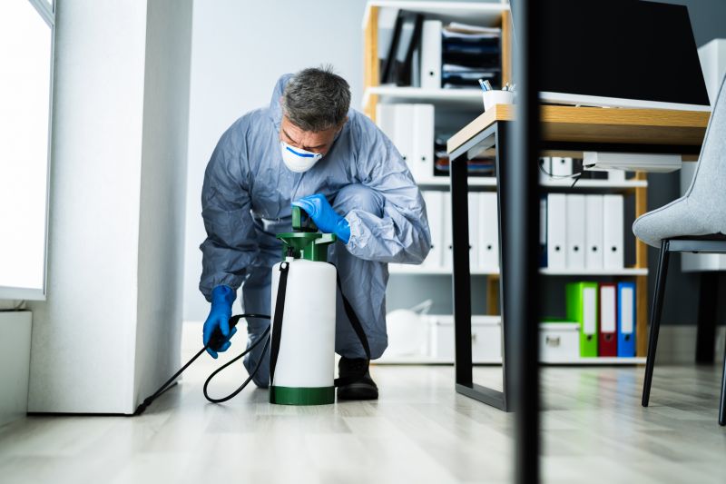 Pest Management Service in Frisco, TX