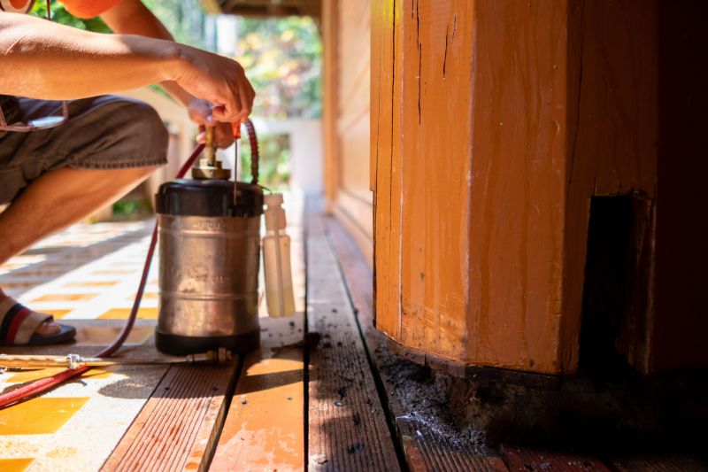 Termite Inspection Service in Katy, TX